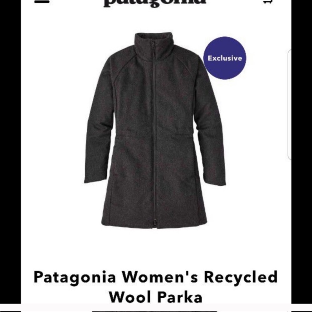 Patagonia Recycled Wool Parka